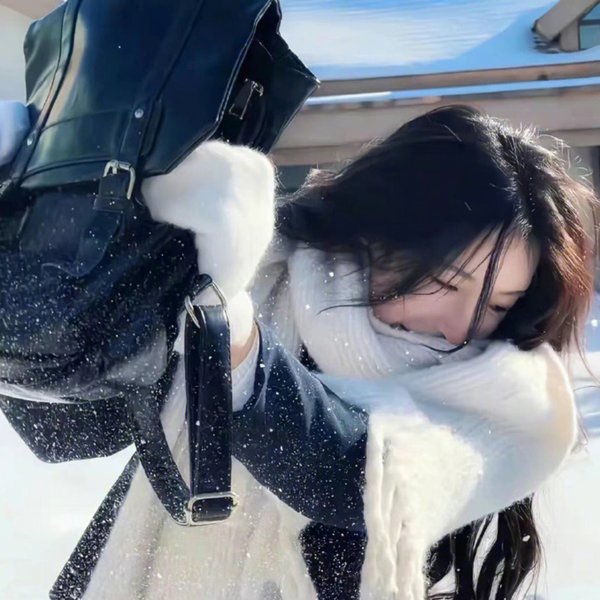 与螂共舞